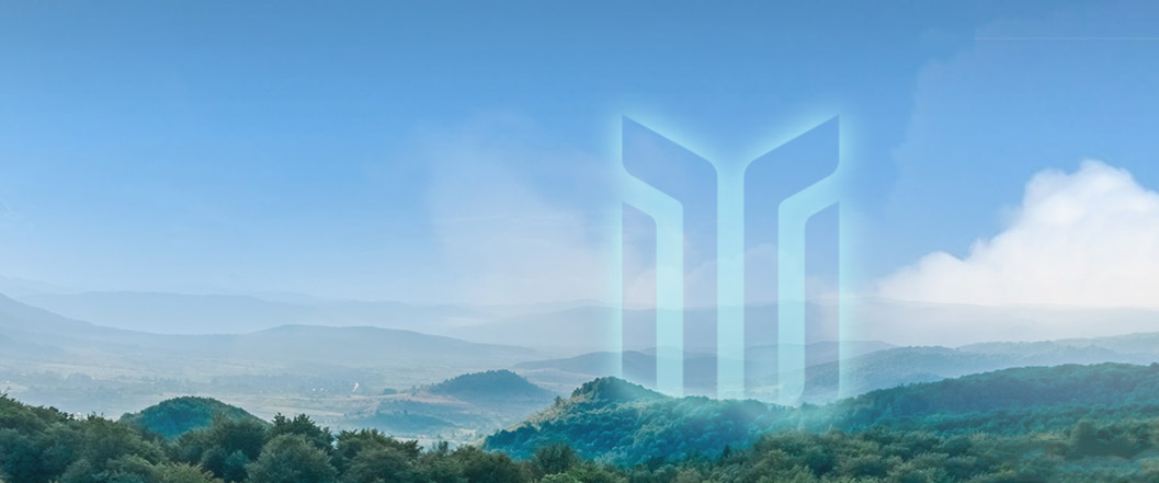 战略是围绕公司使命宗旨和宏伟愿景，为拓展和维持竞争优势而做出的有关全局性的重大筹划和策略，决定着公司目前和未来一段时期内所从事生产经营管理的基本性质以及企业资源配置与环境建设相互作用的基本模式，是统筹公司未来发展的基本准则。